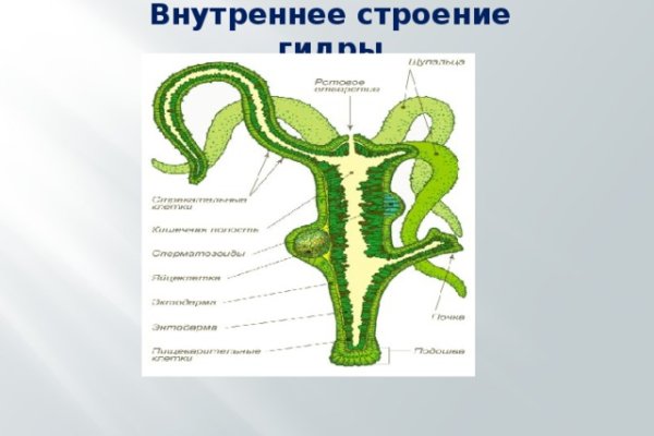 Почему не работает кракен