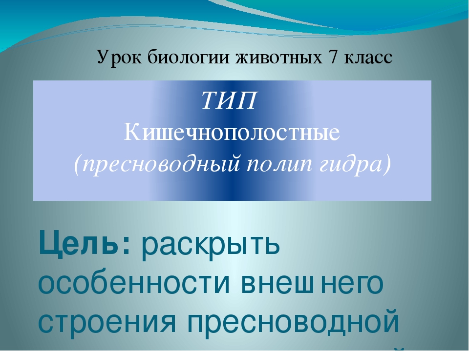 Kraken 15 at сайт